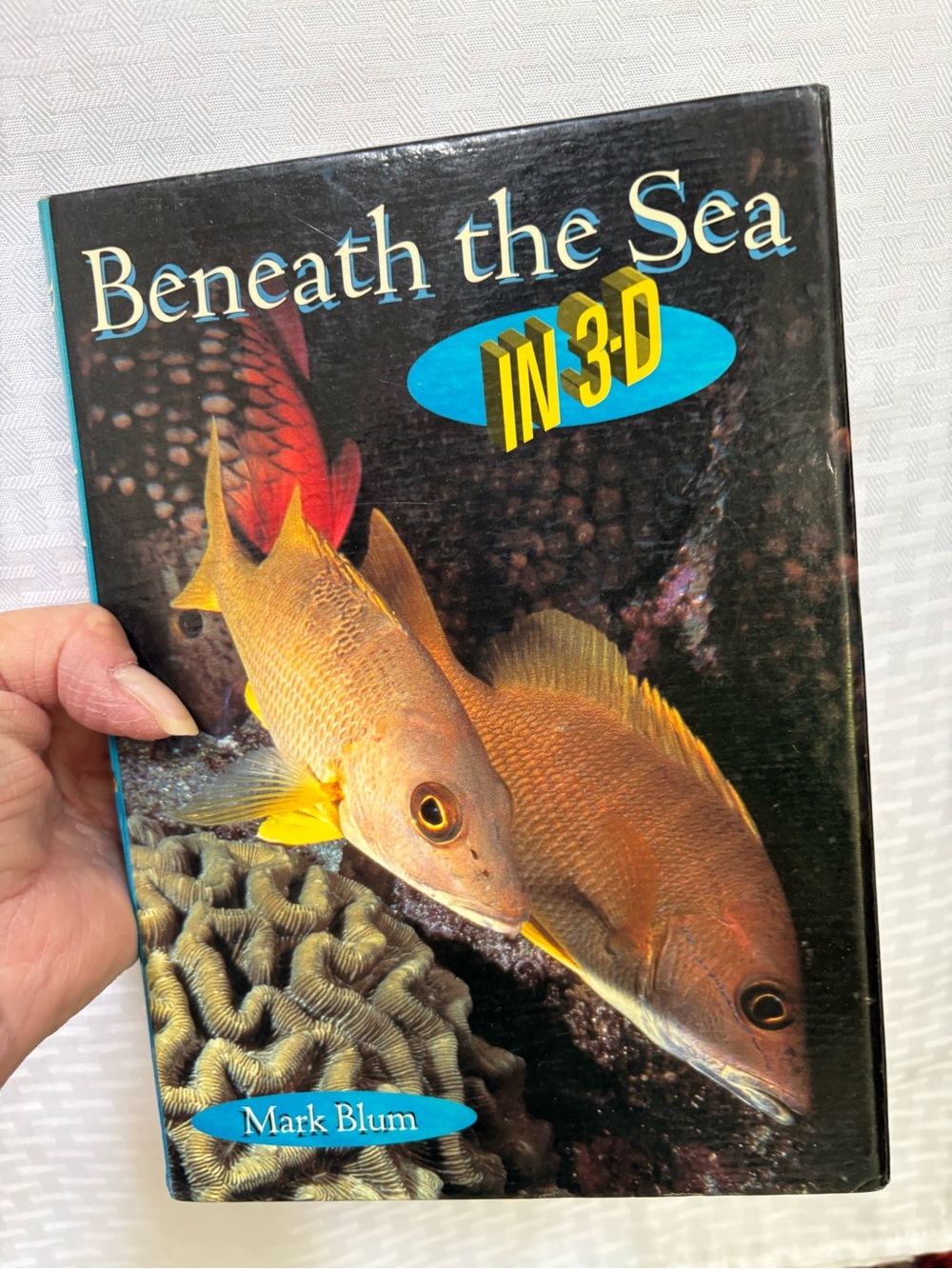 Beneath the Sea in 3-D - Yellow Fish Cover